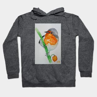 Beautiful Robin - bird art Hoodie